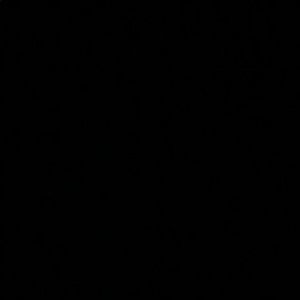 Meet your Posher, Noah